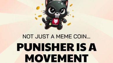 could-punisher-coin-join-chainlink-and-uniswap-as-the-next-big-crypto-buy?
